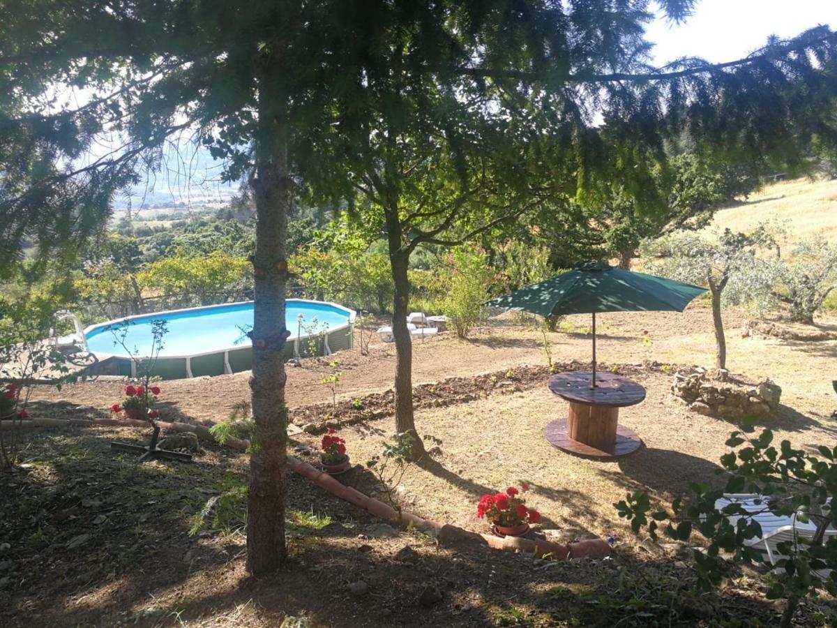 Villa La Rosa Dei Venti Monterotondo  Exterior foto